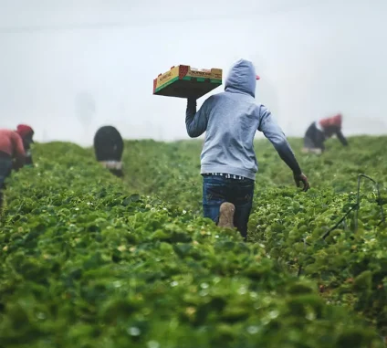 There are many variations of passages of Lorem Ipsum available, but majority have suffered teration in some form, by injected humour, or randomised words which don't look even slight believable. If you are going to use a passage of Lorem Ipsum.