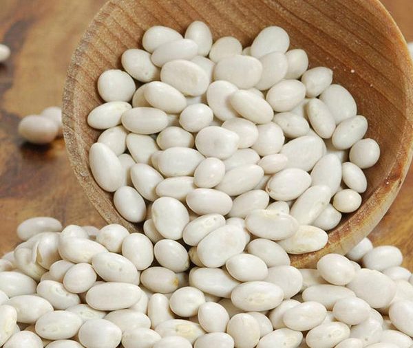 Legumes