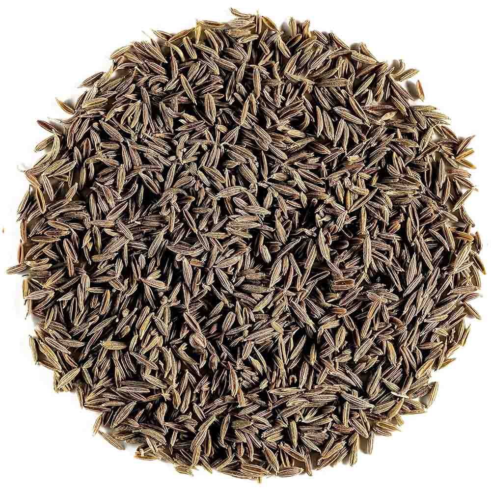 Caraway - Seeds