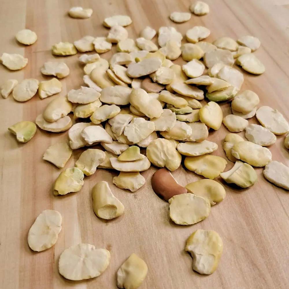 Crushed Fava Beans