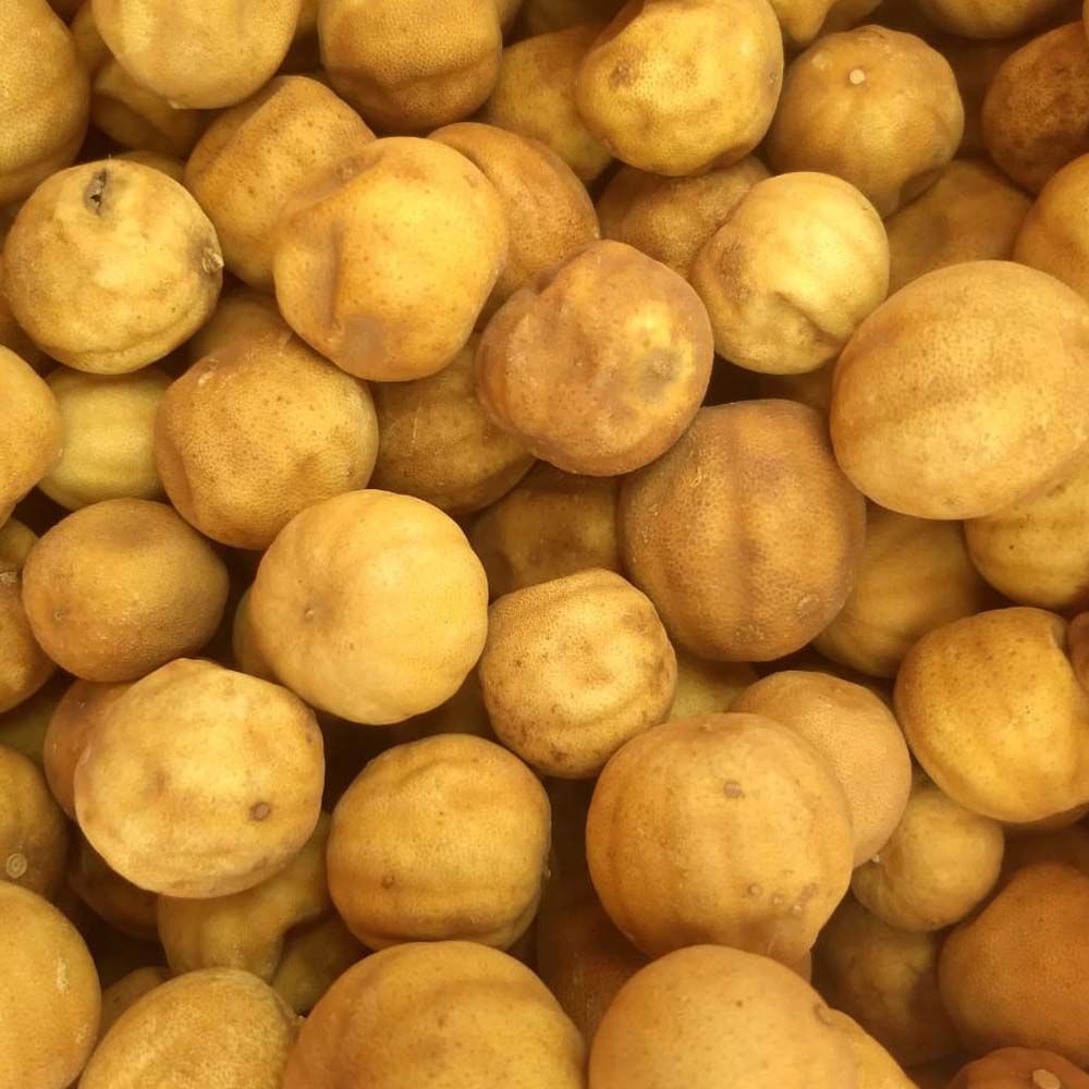 Dried Lemon - Yellow