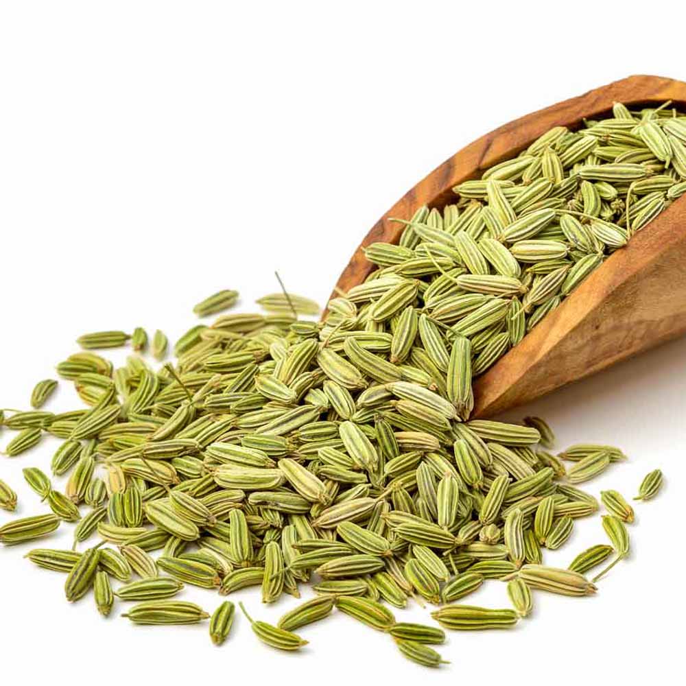 Fennel - Seeds