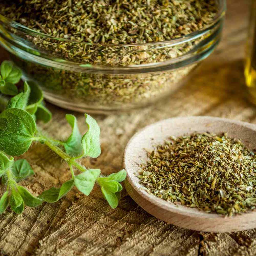 Oregano