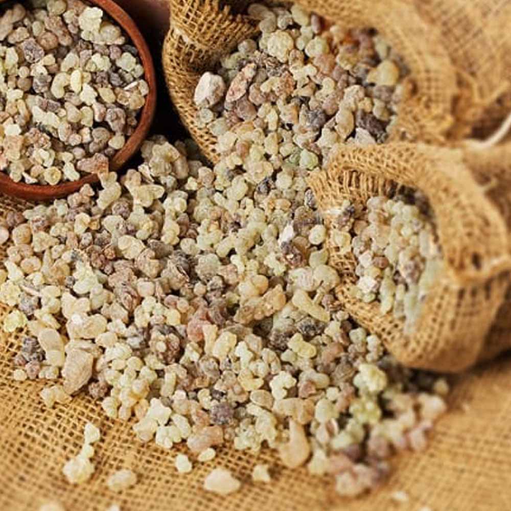 Oriental Gum (Frankincense)